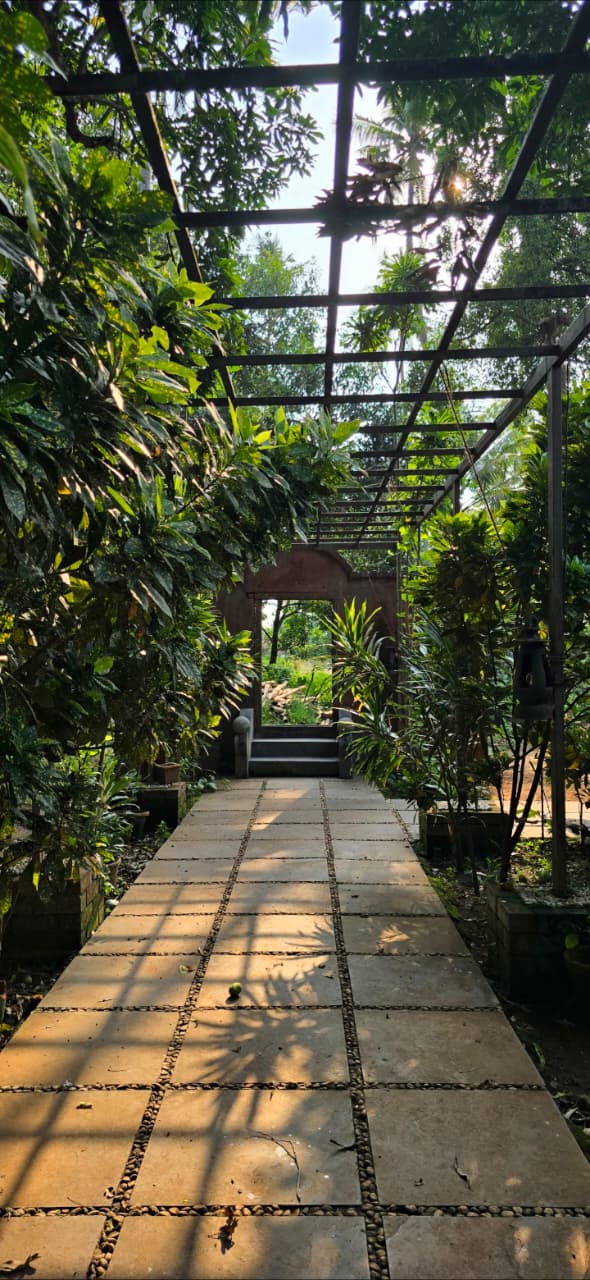 Garden pergola walk